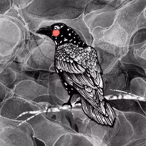 Item #88512563936544511640379150261301015065619949825470528122971693262077597581313 Media