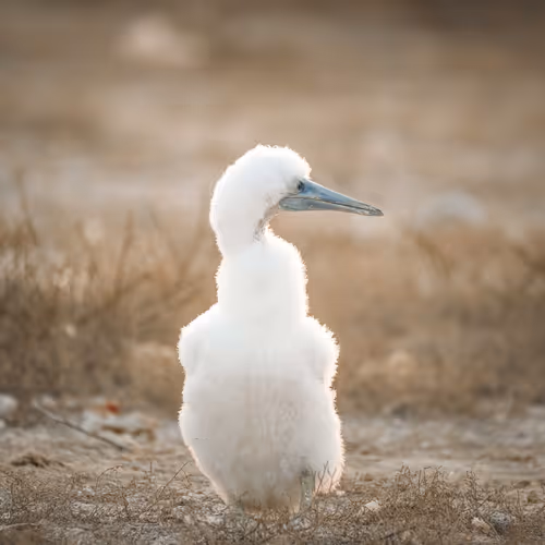 Untitled Collection #383845251