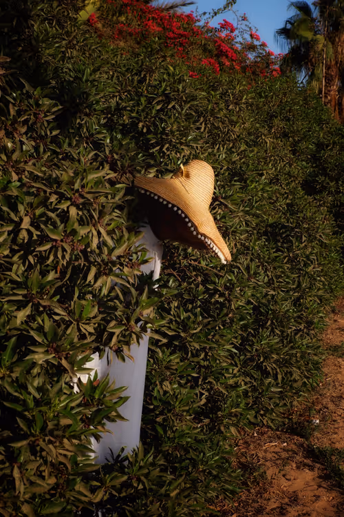 Item #4513353140435915256927038014390726780334549173447047818238800787650604171265 Media