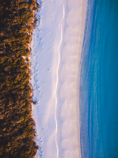 Item #105142820758875045122453279743182417762629954244329512910761130638701200670721 Media