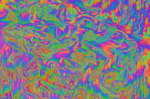 Item #48497653429620658773205982024257630375343700601731022526389777417275598438401 Media