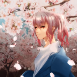 Cherry blossom season