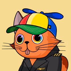 Michi Cat #0216