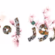 Parsbit Collection