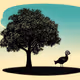 Just a bird