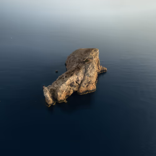 Untitled Collection #119108400