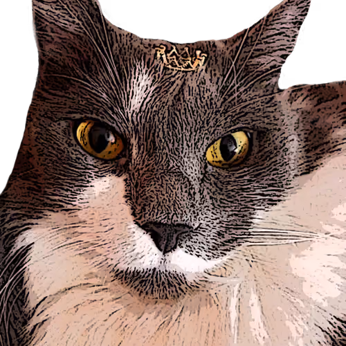 Queen Cassie