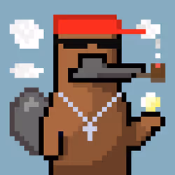Platy Punk #1842