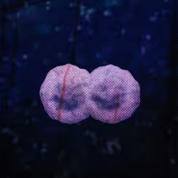 37637092413922226150230885435565787656978392479521048397882450028936510308353