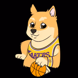 Doge basketball#3