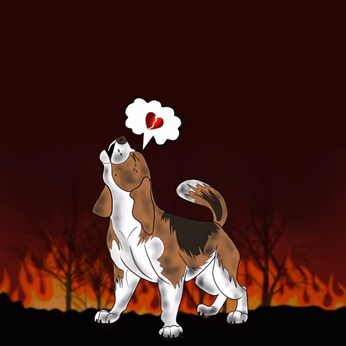 Item #18929025953091685879740265421444029621973902778044225700407145439615355191297 Media