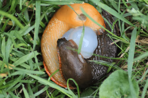 51124555051901614330264480006545612592022390906904121289505624556911166750721