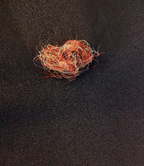 Item #106724480225674234207905183148312565268453477857390453009567810402440529838081 Media