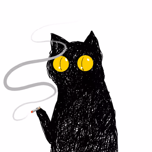 WTFOFCAT Collection - old