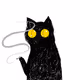 WTFOFCAT Collection - old