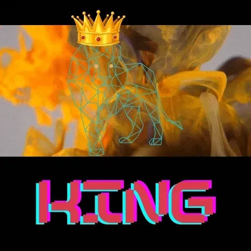 Untitled Collection #33819412