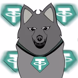 Tid doy stablecoin WTF Hahahahaha 