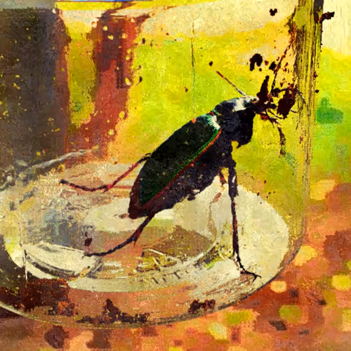 Item #59781095411534189508754005872723373463038721670588469688932600118746244186113 Media