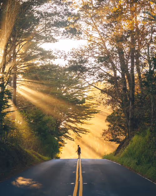 Item #99379921276153973634104125152908526548510783699959858376338453593096290566145 Media