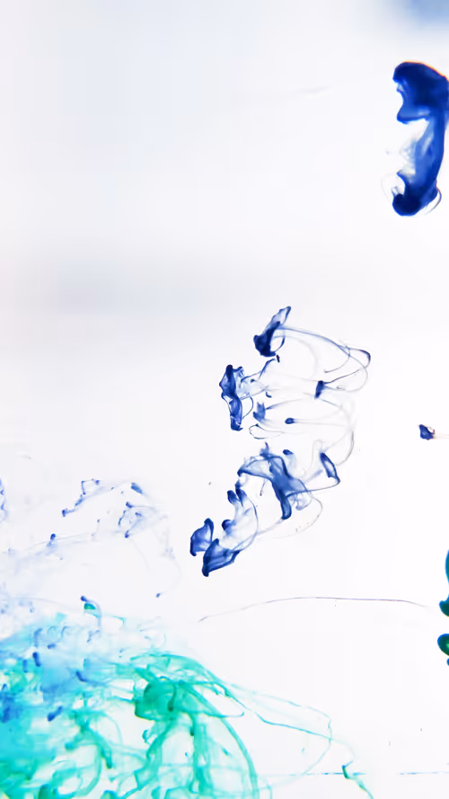 Item #31305712980941030161867633175304117506253559023819364015858336194217463775233 Media