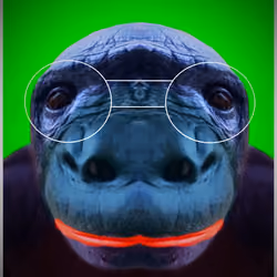 Bored Gorilla BlackMan #1
