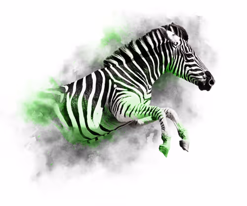 Item #59088353916634911645199901135540098457890710800918991321684793773394766069791 Media