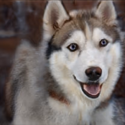 Item #55525875118330994482032925216761404736570211771565447267945268425693539074049 Media