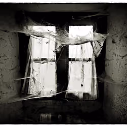 FORGOTTEN LIVES #010
