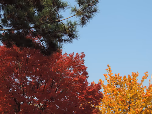 Item #79831549831465427225524286830239879772490055006654572578863530746143221743617 Media