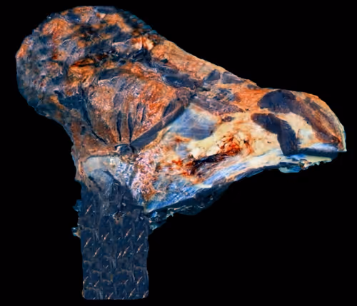 Item #18063966590187803564983313972252836895288362682890717819958697154896929488897 Media