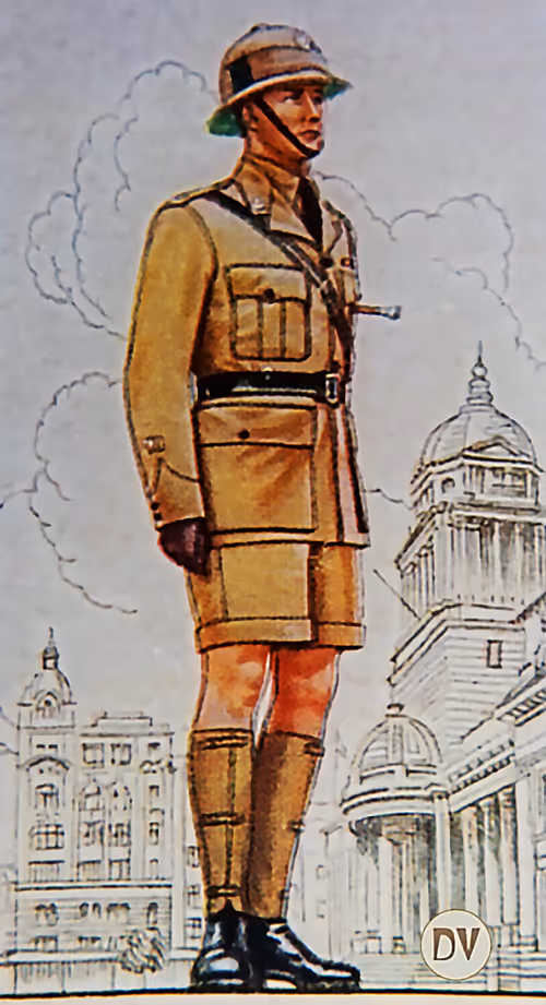 Item #38724113203364670127101612231347610903288392580403585451394279585440396738610 Media