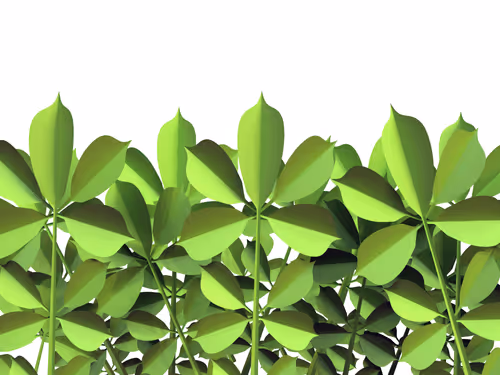 Item #57105762378202869450558961711539827991944885961407492991895323521394292031489 Media