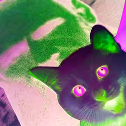 4747115153065902387790593868107453782499677024781155622119190024686288240641