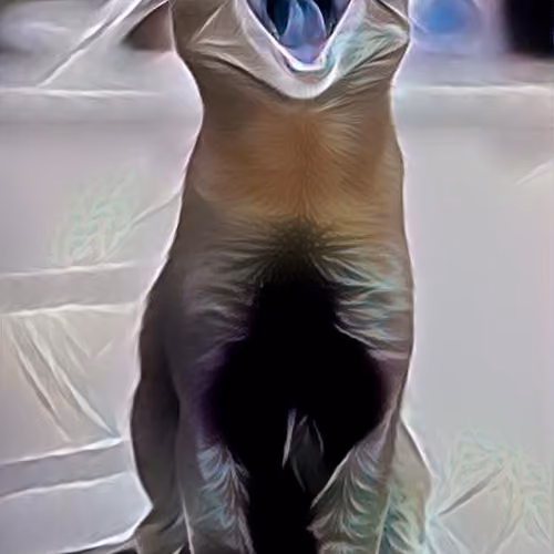timo