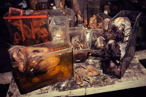 Item #6565810260974012142979447382213260811673901235920150159997466813634491449345 Media