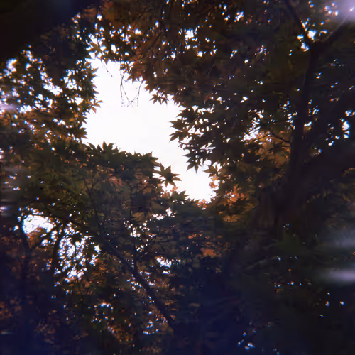 Shot On Holga