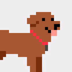 Dank Doggie 999