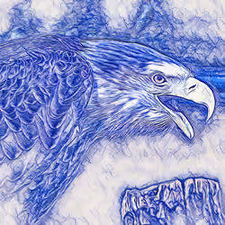 Eagle