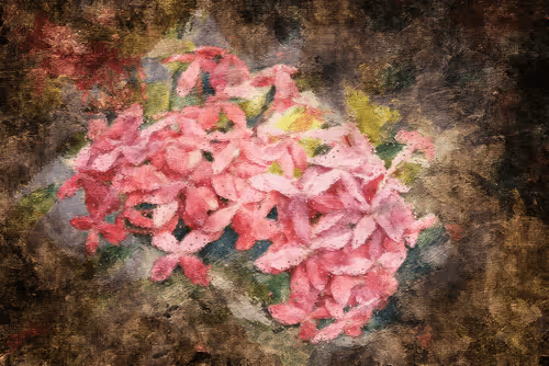 Item #69261177602478584146078213691104273677815526894191982293268527796869232852993 Media