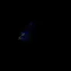 9050991396078878530804497659870993705968162446836973774563467534496402767873