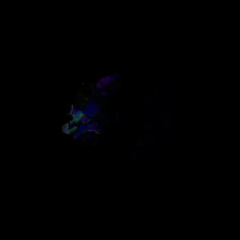 Item #9050991396078878530804497659870993705968162446836973774563467534496402767873 Media