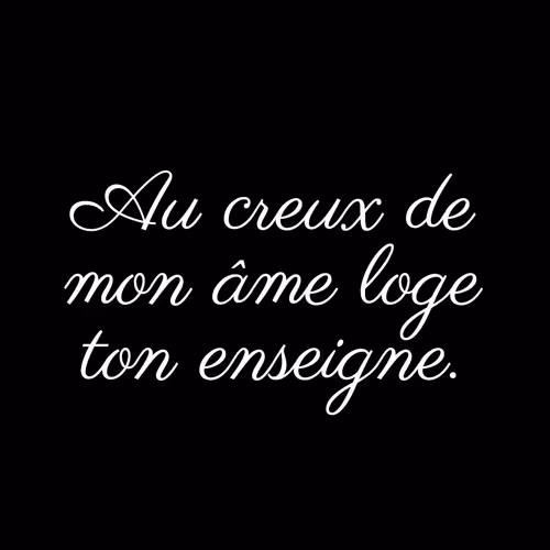 Item #74371741931470645784912528948589980971587939009711764784213724926831837052929 Media