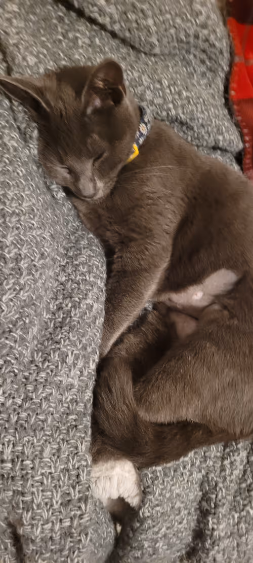 Item #65060042108644582213581044861185257921099202751223028038730296734566773161985 Media