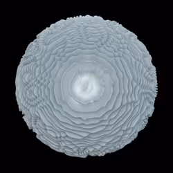 Ridged Plates