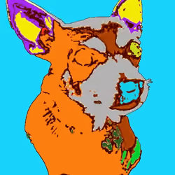 Chihuahua Leo #5