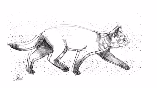 Item #92158263597774240696216460842119287499032570896628831031377871232182341599233 Media