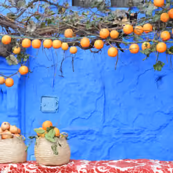 Orange on Blue