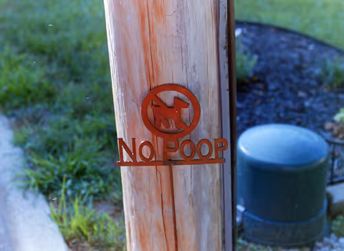 Item #102681073820549918018156706383720612658195698549287552323172903086251210440705 Media