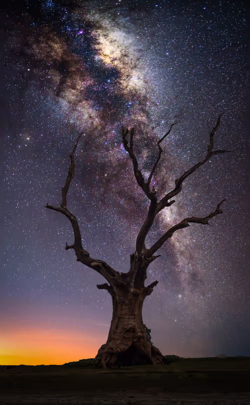 Item #65345487953311582179904319908136273825398030986349115812322284716178976800769 Media