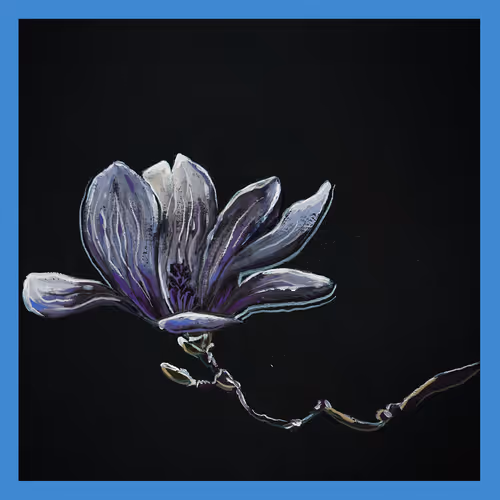 5779281467826994107992422148601232503379904017104496064971971802149613993985